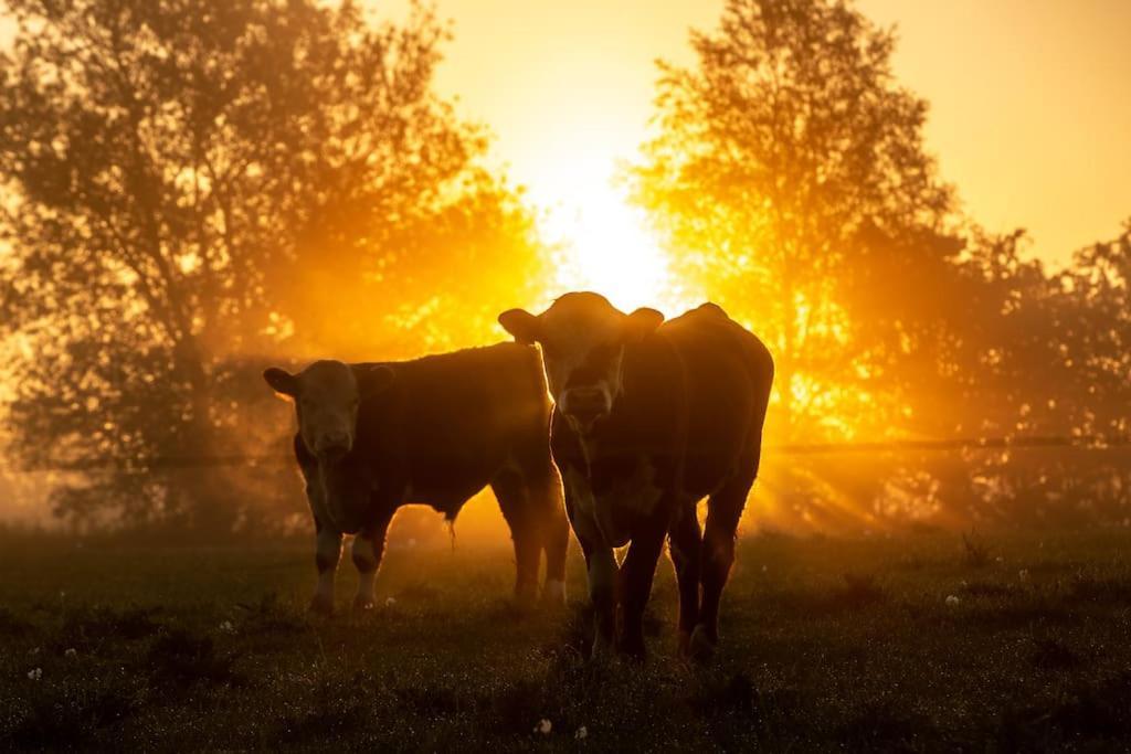 Kongsholmlund. Enjoy The Countryside. Διαμέρισμα Vejby Εξωτερικό φωτογραφία