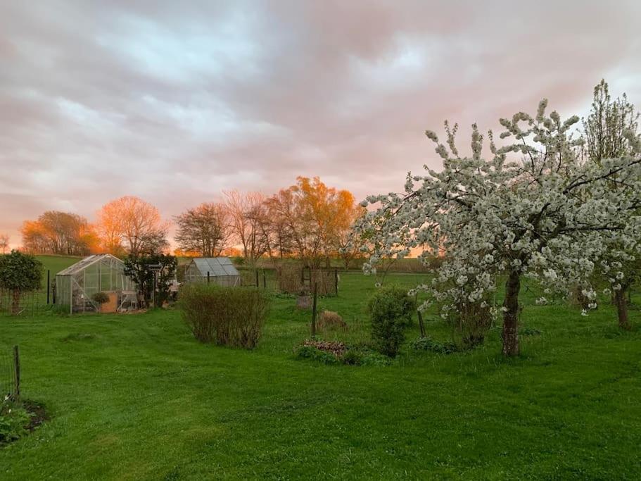 Kongsholmlund. Enjoy The Countryside. Διαμέρισμα Vejby Εξωτερικό φωτογραφία